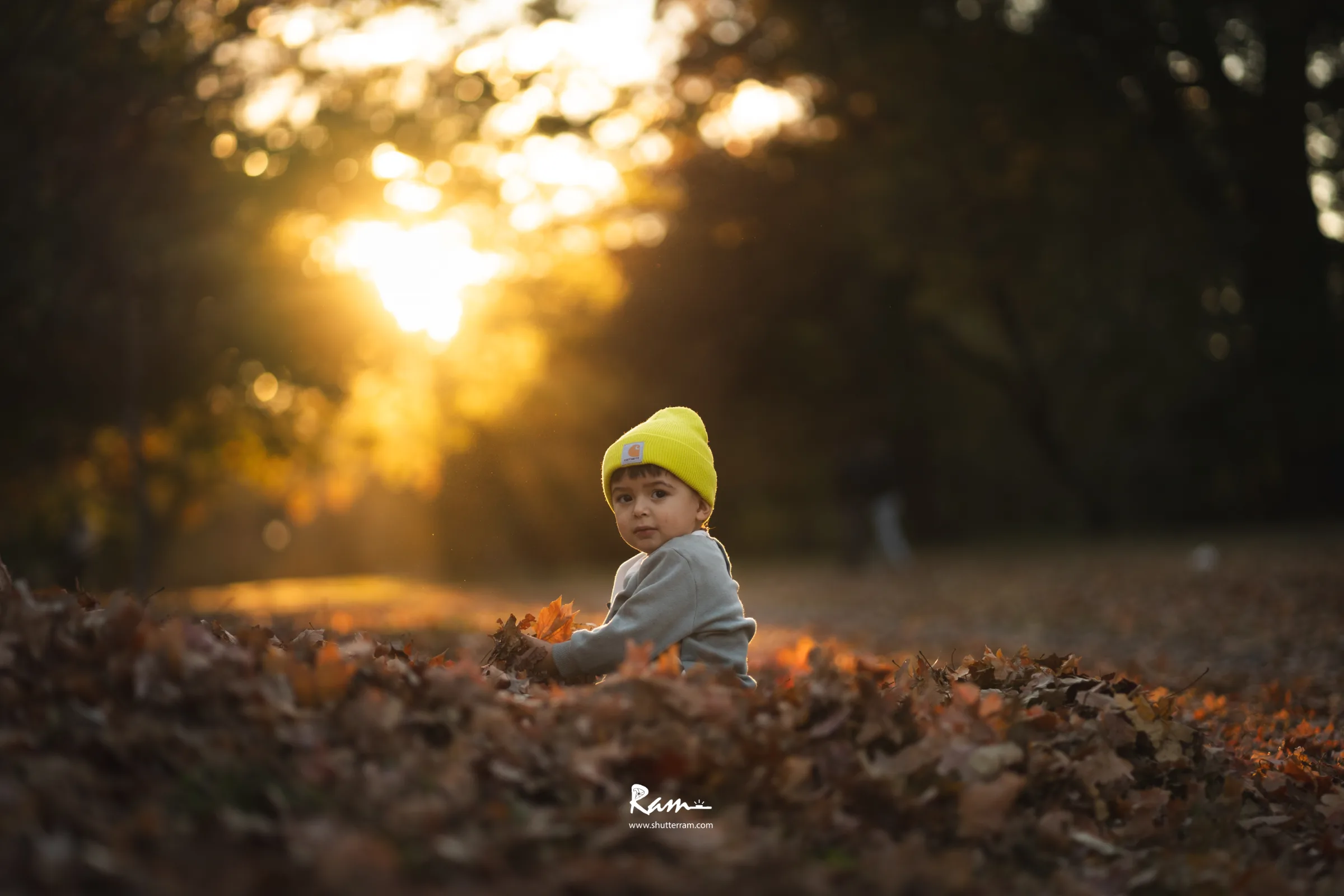 Playful Autumn Moments